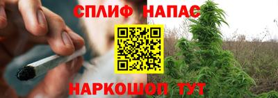 шишки Волгодонск