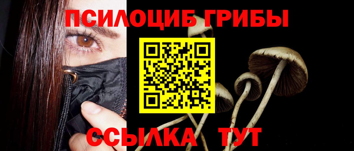 Муром  Галлюциногенные грибы Psilocybe  Псилоцибиновые грибы мухоморы  Вход с VPN 