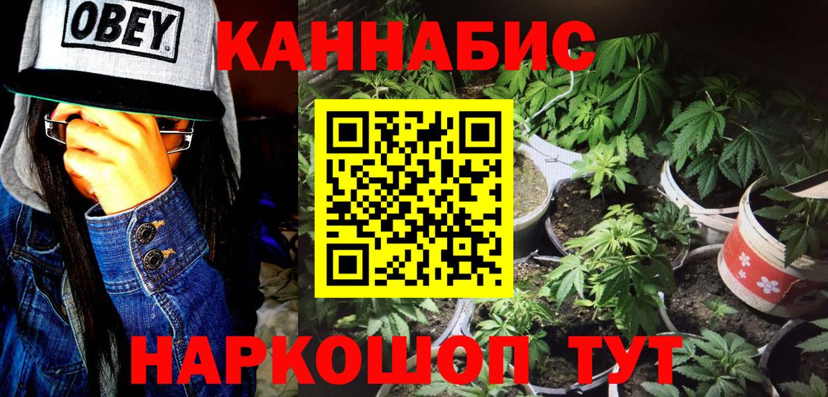 Бошки марихуана семена  Конопля семена  Вход с VPN  Бошки марихуана Bruce Banner  МАРИХУАНА OG Kush  Муром 
